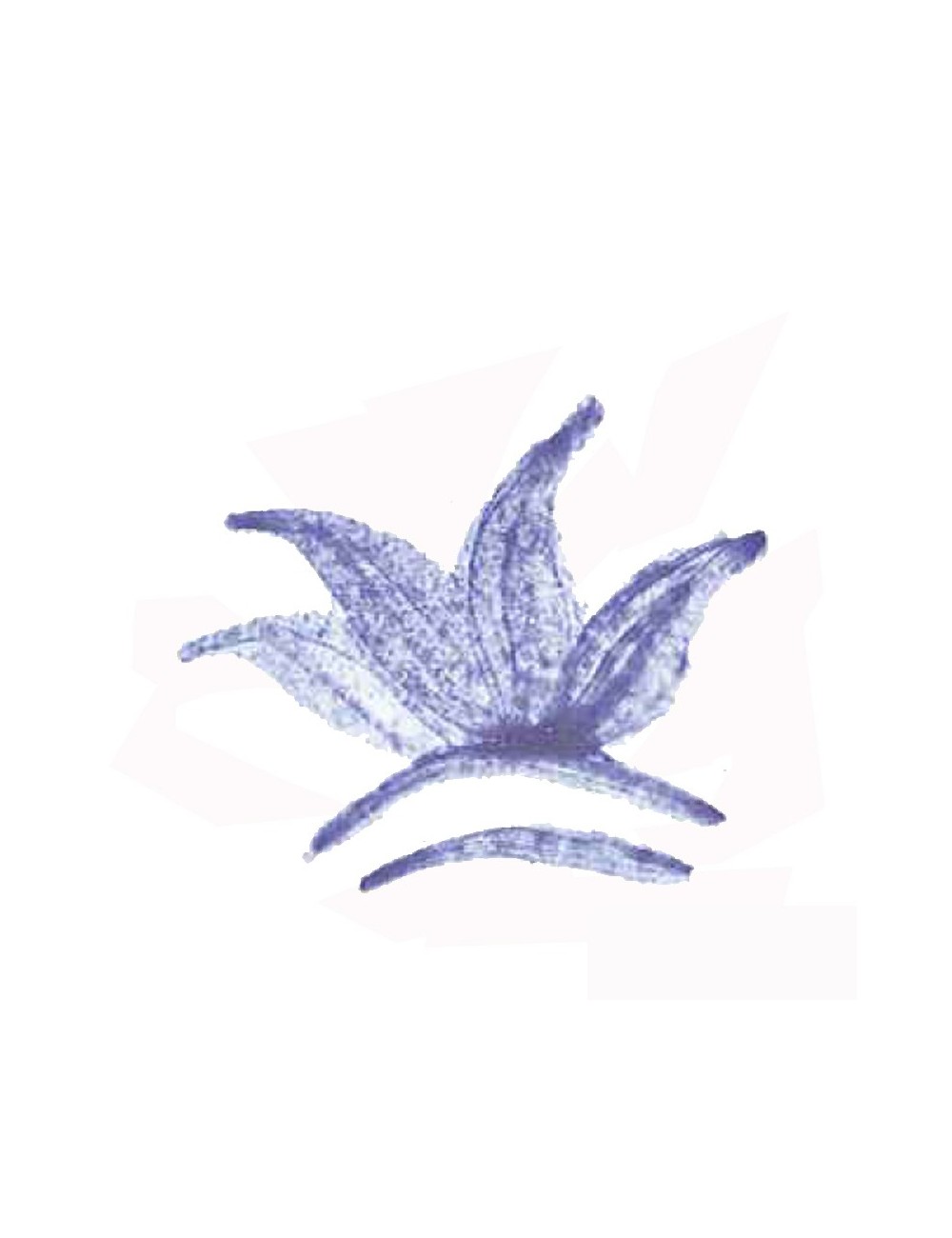 COLORANT POUDRE BLEU CELESTE P82