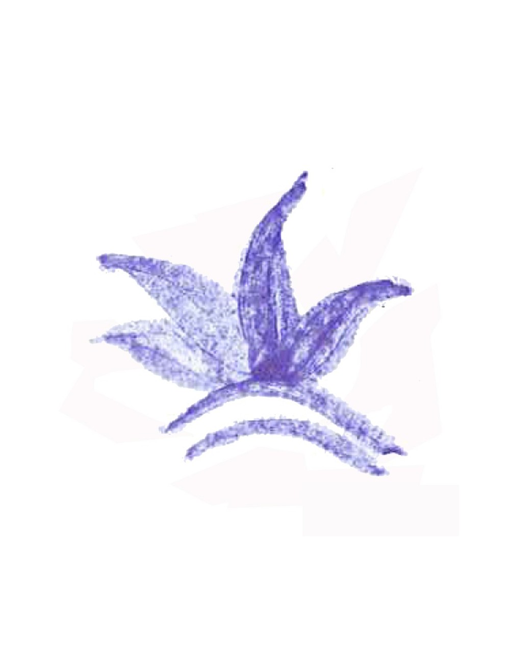 COLORANT POUDRE BLEU CIEL P11