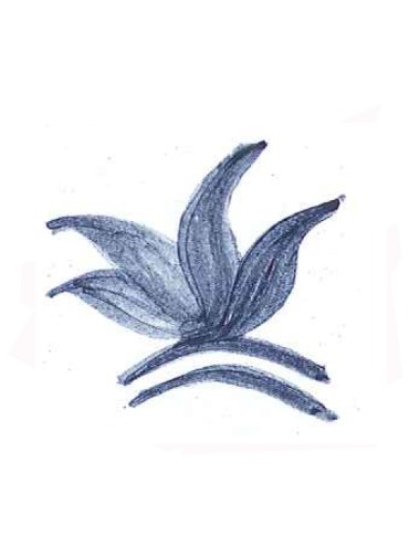 COLORANT POUDRE  BLEU PETROLE P201