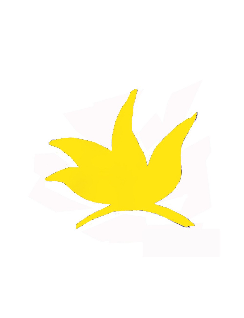 COLORANT POUDRE JAUNE INTENSE P508