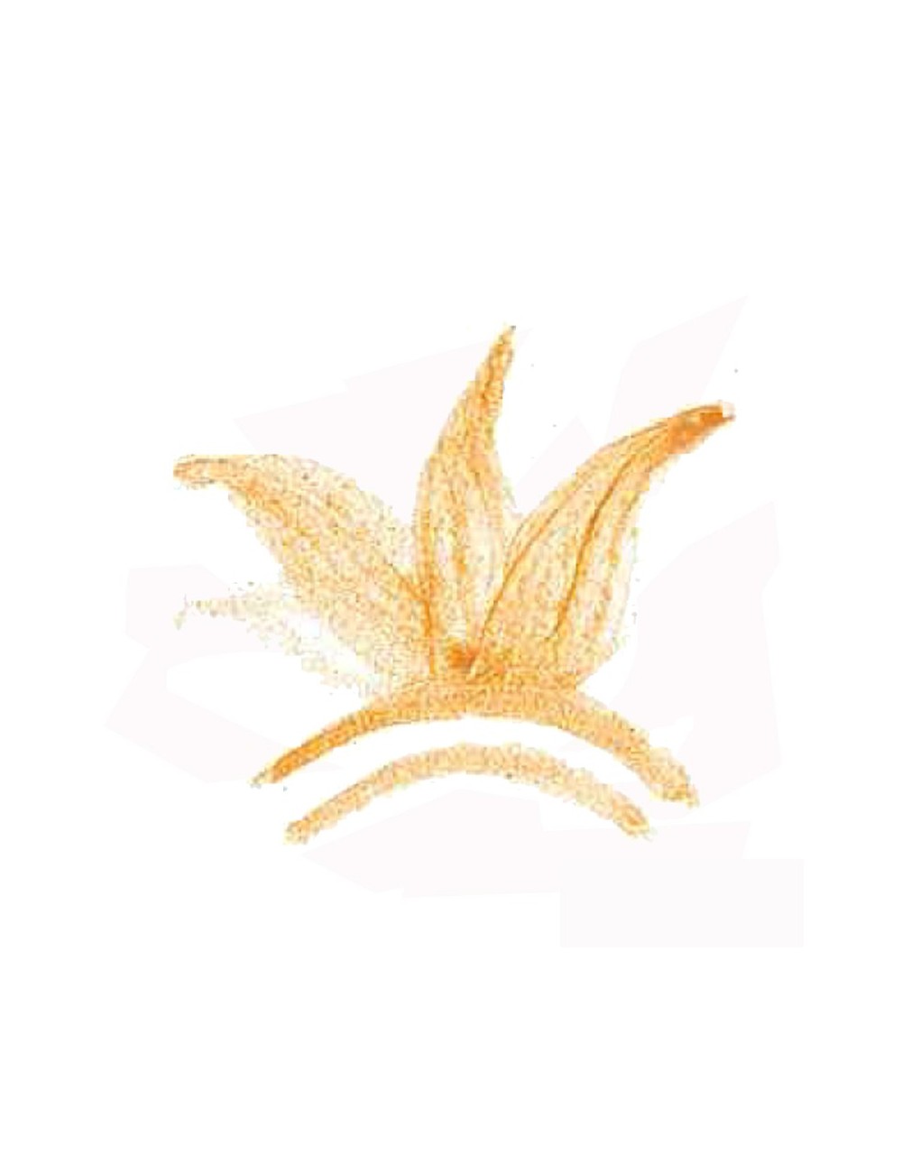 COLORANT POUDRE OCRE ROSE P62