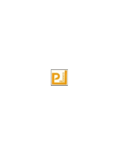 COLORANT POUDRE ORANGE P130