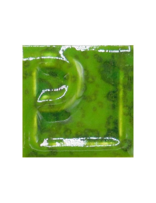 ÉMAIL FAÏENCE LIQUIDE OPAQUE À EFF. SS PLB MOUCHETÉ KIWI 1KG EESP35LL