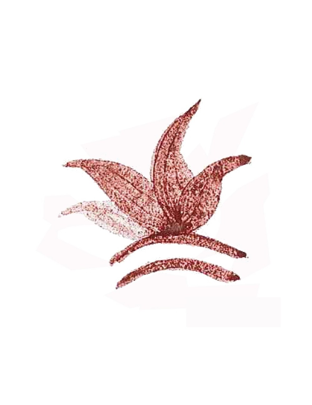 COLORANT POUDRE ROUGE SANG DE TAUREAU P162