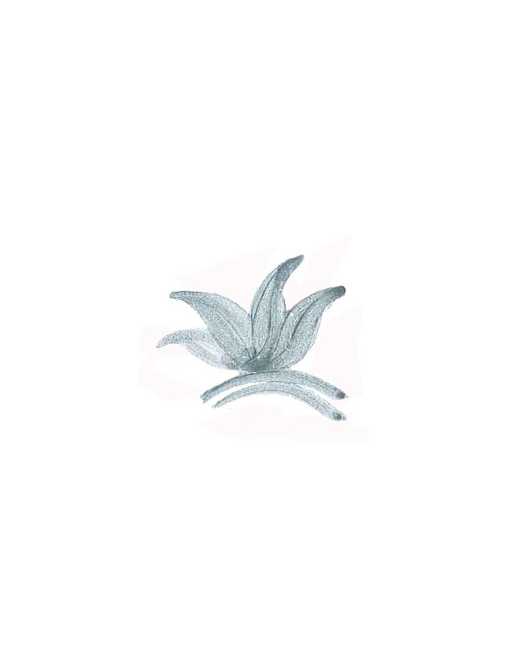 COLORANT POUDRE VERT DE GRIS P35