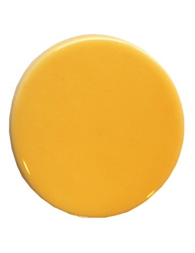 ÉMAIL FAÏENCE LIQUIDE TRANSP. SS PLB BRILL. MIEL 300GR SOL04/101
