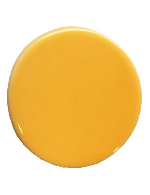 ÉMAIL FAÏENCE LIQUIDE TRANSP. SS PLB BRILL. MIEL 300GR SOL04/101