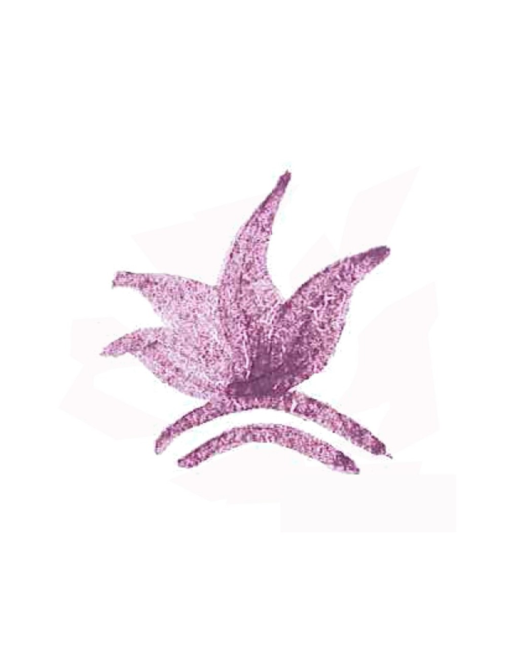 COLORANT POUDRE VIOLET P137