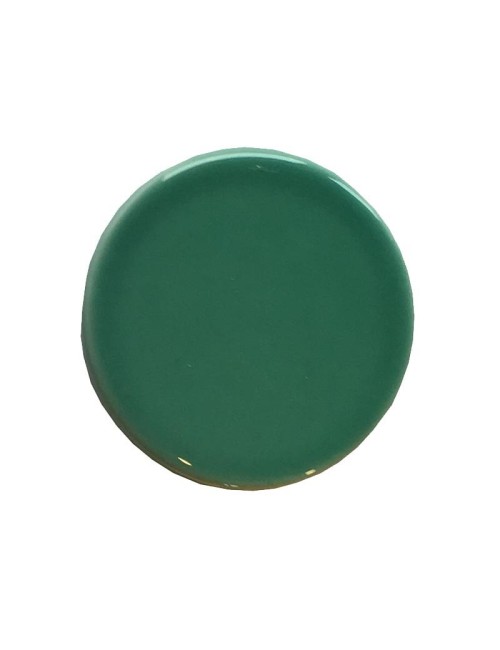 ÉMAIL FAÏENCE LIQUIDE TRANSP SS PLB BRIL. VERT FORÊT CLAIR 300G