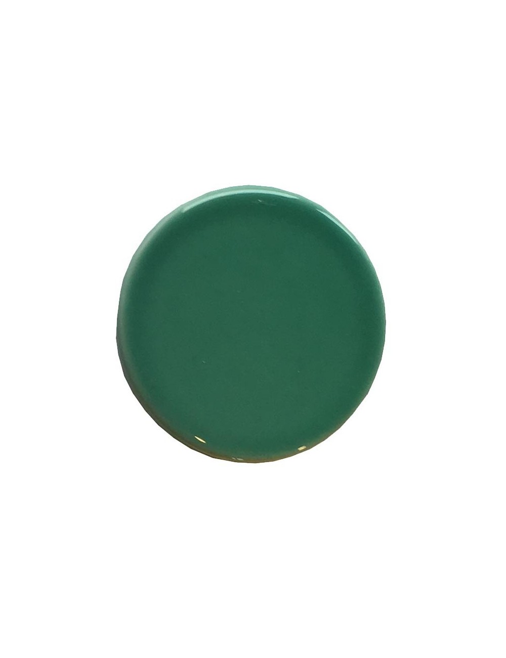 ÉMAIL FAÏENCE LIQUIDE TRANSP SS PLB BRIL. VERT FORÊT CLAIR 1KG SOL05/