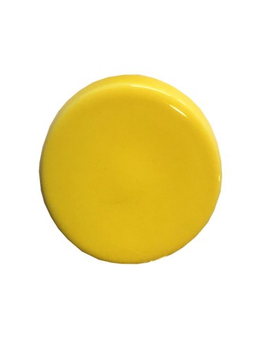 ÉMAIL FAÏENCE LIQUIDE TRANSP. SS PLB BRILL. JAUNE SOLEIL 300GR SOL06/