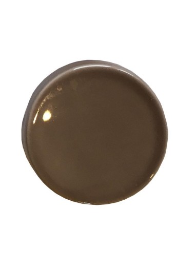 ÉMAIL FAÏENCE LIQUIDE TRANSP. SS PLB BRILL. GRIS BEIGE 300GR SOL09/10