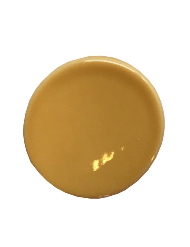 ÉMAIL FAÏENCE LIQUIDE TRANSP. SS PLB BRILL. BEIGE SOL09/113