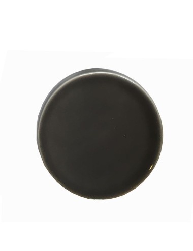 ÉMAIL FAÏENCE LIQUIDE TRANSP. SS PLB BRILL.GRIS CLAIR 300G SOL16/101