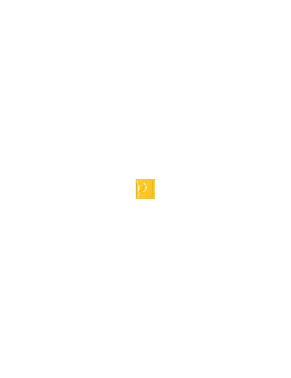 ÉMAIL FAÏENCE TRANSPARENT SANS PLOMB BRILLANT JAUNE CANARI XP3237/T