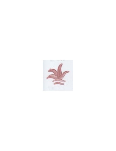 COULEUR VITTRIFIABLES DÉCOR ROSE VP3107
