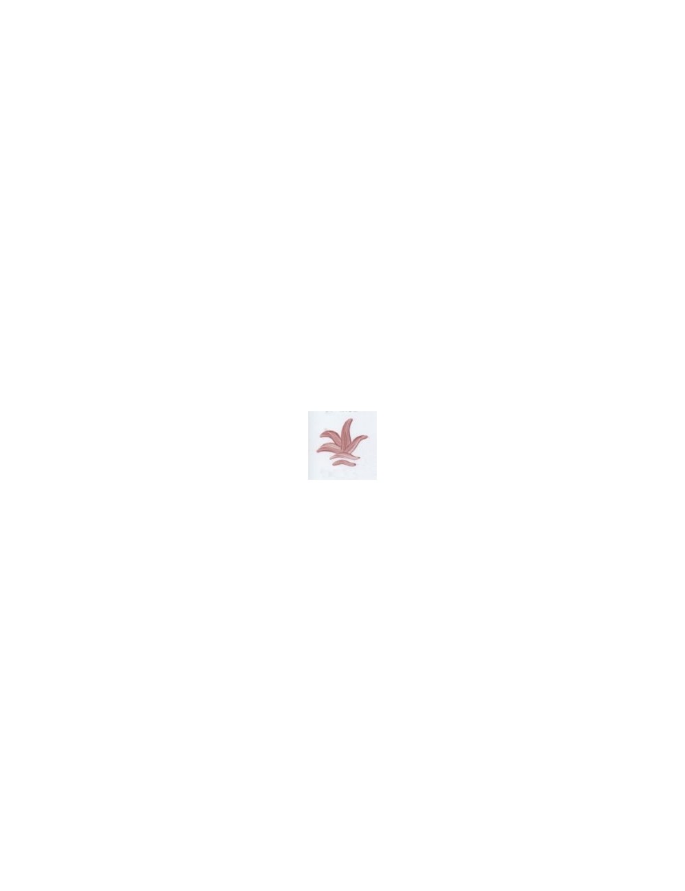 COULEUR VITTRIFIABLES DÉCOR ROSE VP3107