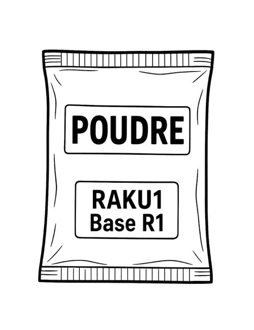 ÉMAIL FAÏENCE & RAKU BASE R1