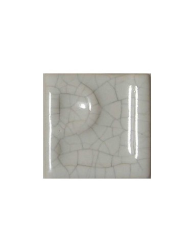 ÉMAIL FAÏENCE & RAKU CRAQUELÉ BRILLANT BLANC 5895