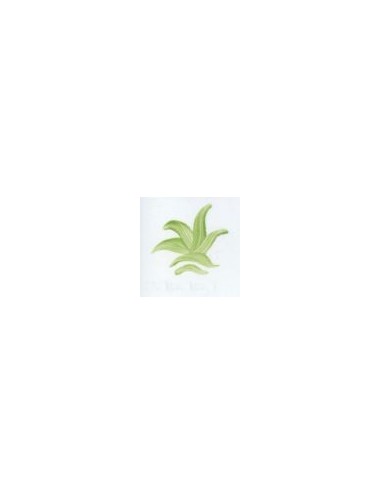 COULEUR VITTRIFIABLES DÉCOR VERT VICTORIA VP3150