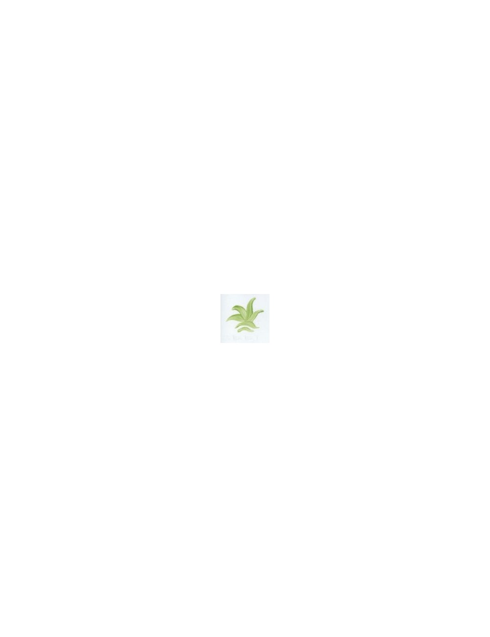 COULEUR VITTRIFIABLES DÉCOR VERT VICTORIA VP3150