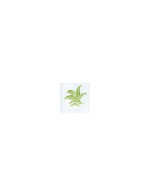 COULEUR VITTRIFIABLES DÉCOR VERT VICTORIA VP3150
