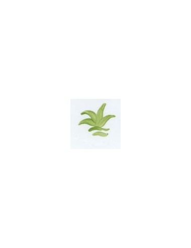 COULEUR VITTRIFIABLES DÉCOR VERT HERBE VP3151