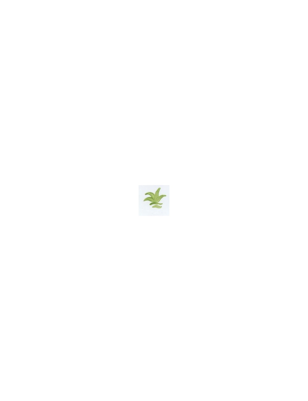 COULEUR VITTRIFIABLES DÉCOR VERT HERBE VP3151