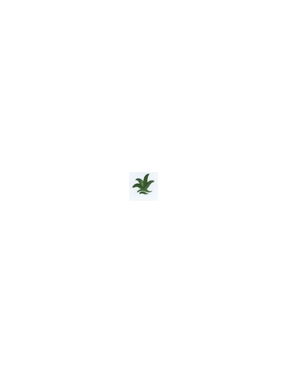 COULEUR VITTRIFIABLES DÉCOR VERT FONCÉ VP3152