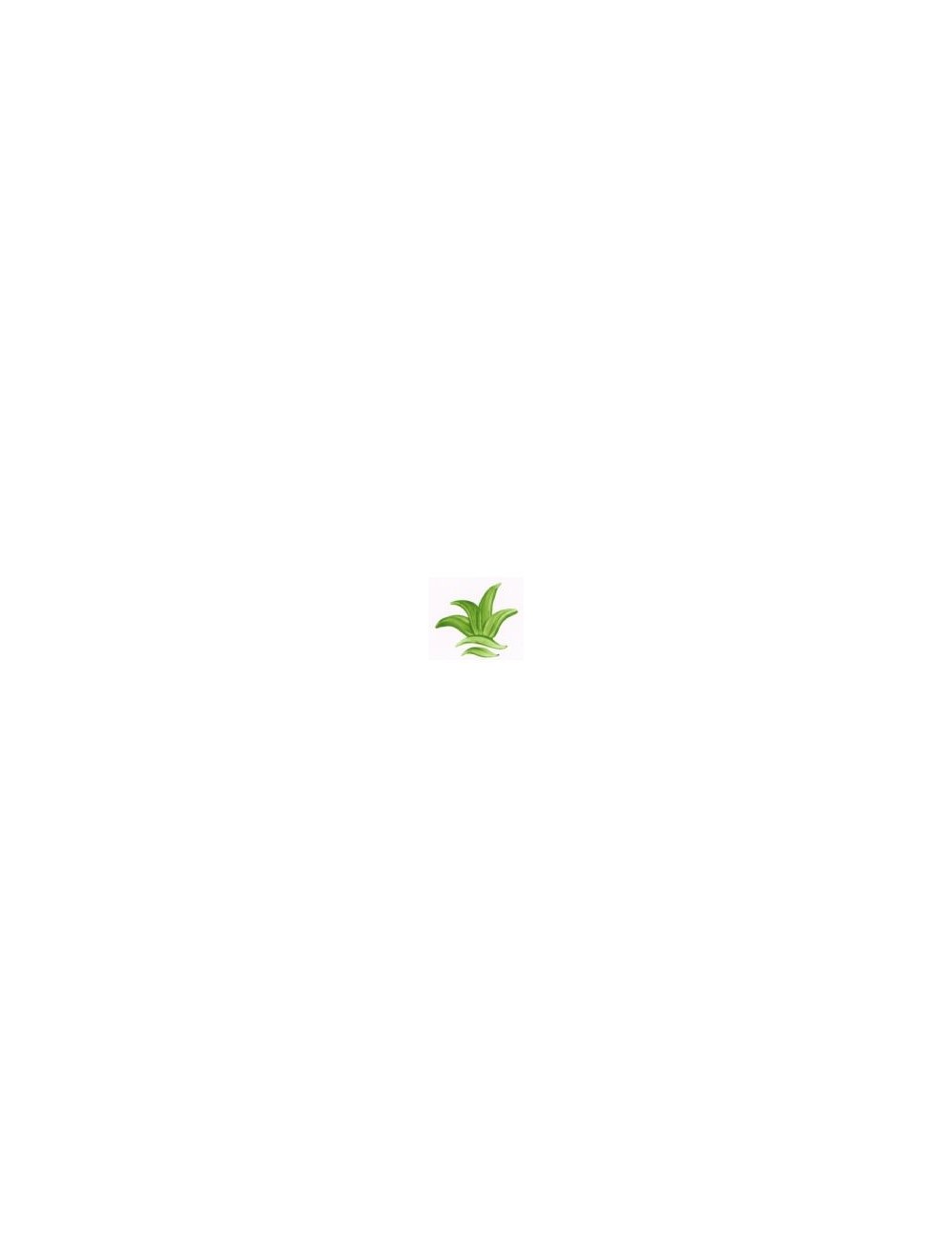 COULEUR VITTRIFIABLES DÉCOR VERT FEUILLE VP3153