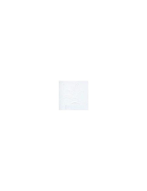 COULEUR VITTRIFIABLES DÉCOR BLANC VP3156