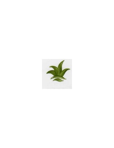 COULEUR SEMI-OPAQUE FANTAISIE VERT DE CHROME VP3317