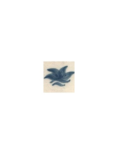 COLORANT Série "D" BLEU BERMUDE D89