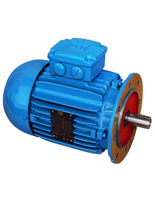 MOTEUR DE RECHANGE 1 CV EN 220 V POUR TOUR WEELY