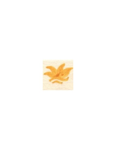 COLORANT D21/N JAUNE ORANGE jusqu'à épuisement