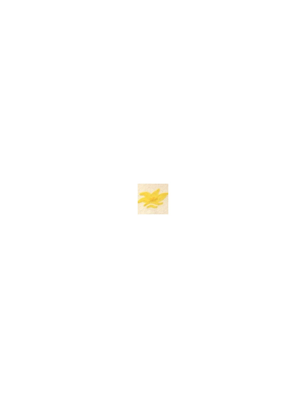 COLORANT Série "D" JAUNE SOLEIL D99