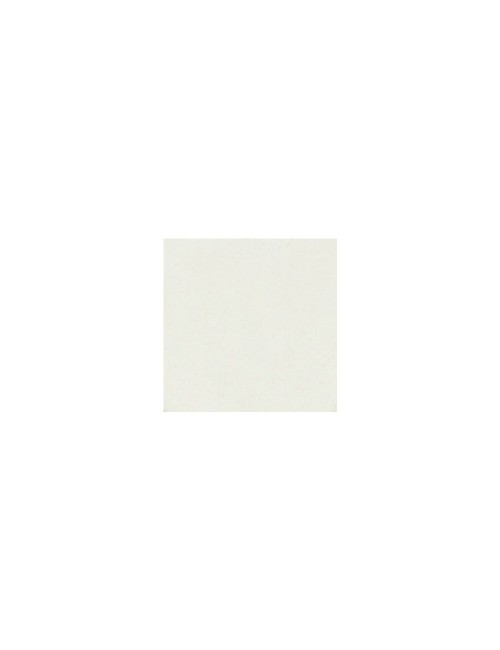 FAÏENCE BLANCHE LISSE - FABLM - 12,5 KG