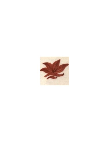 COLORANT Série "D" MARRON FONCÉ D101