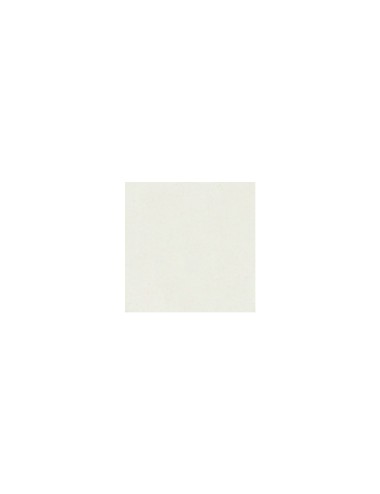 FAÏENCE EXTRA BLANCHE LISSE - FAM5 - 12,5 KG