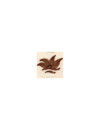 COLORANT Série "D" CHOCOLAT D05