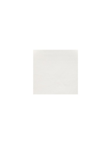 PORCELAINE LISSE - PSL -  10 KG