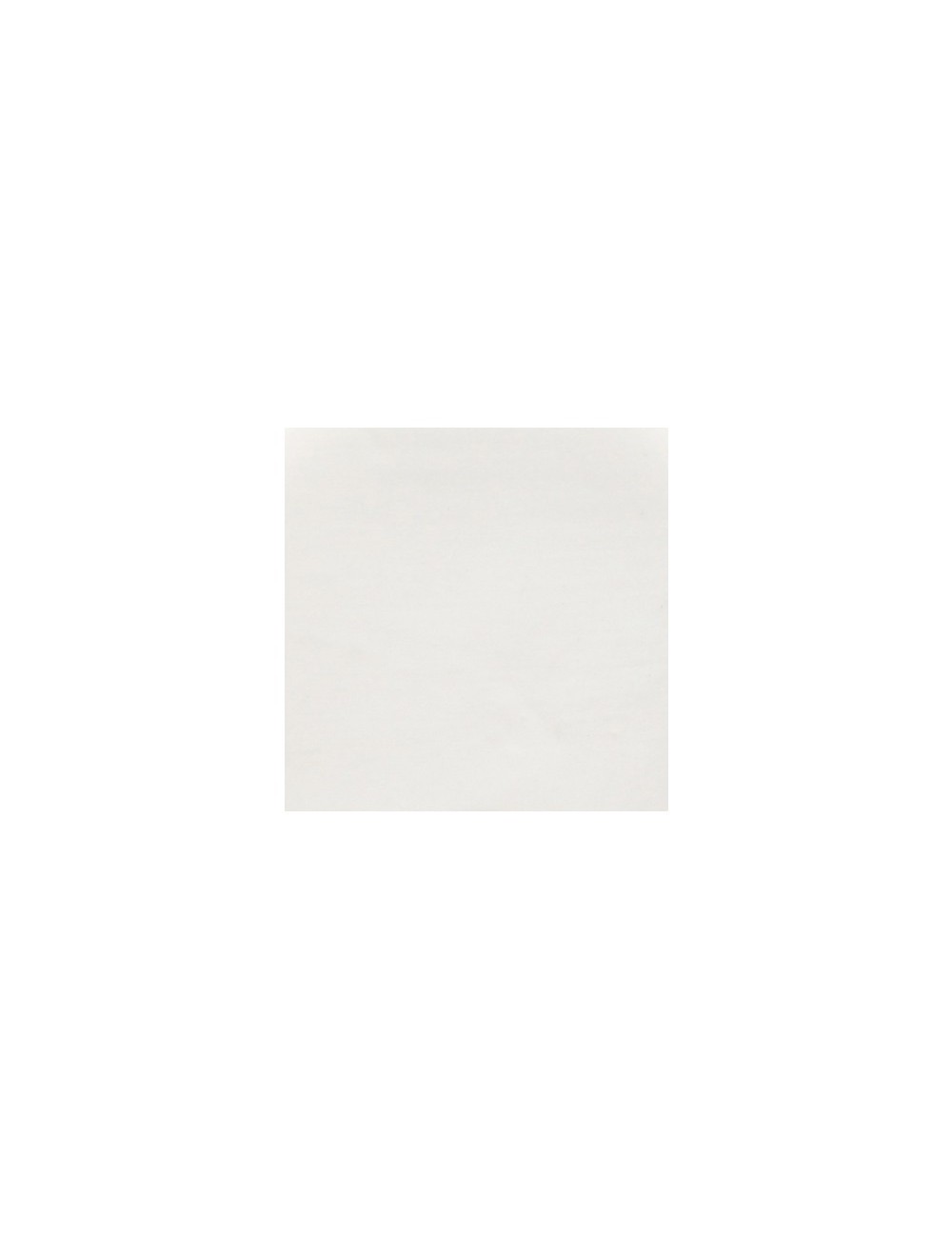 PORCELAINE LISSE - PSL -  10 KG