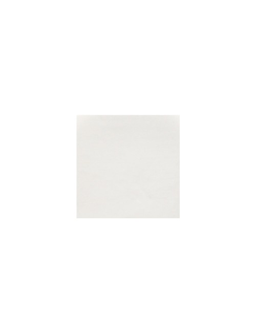 PORCELAINE LISSE - PSL -  10 KG