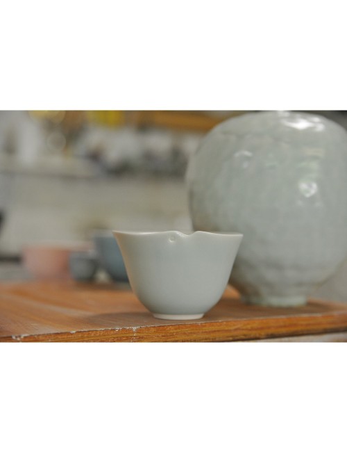 PORCELAINE LISSE - PSL -  10 KG