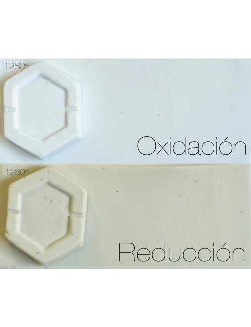 PORCELAINE LISSE - PSAF - 10 KG