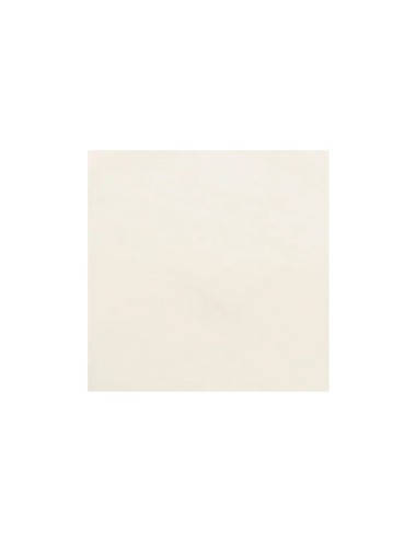 PORCELAINE LISSE - MINGPO - 12,5 KG