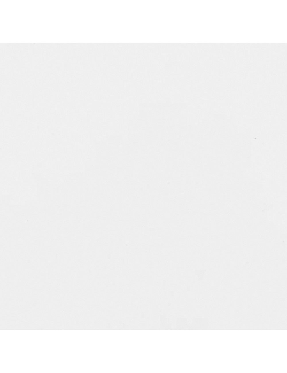 PORCELAINE LISSE - ROYPO - 12,5 KG