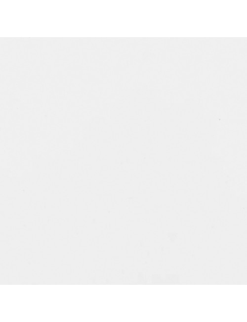 PORCELAINE LISSE - ROYPO - 12,5 KG