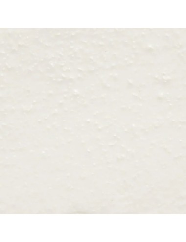 PORCELAINE CHAMOTTÉE - ROYPO002 - 12,5 KG