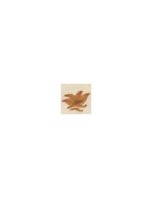 COLORANT Série "D" OCRE CUIVRE D72